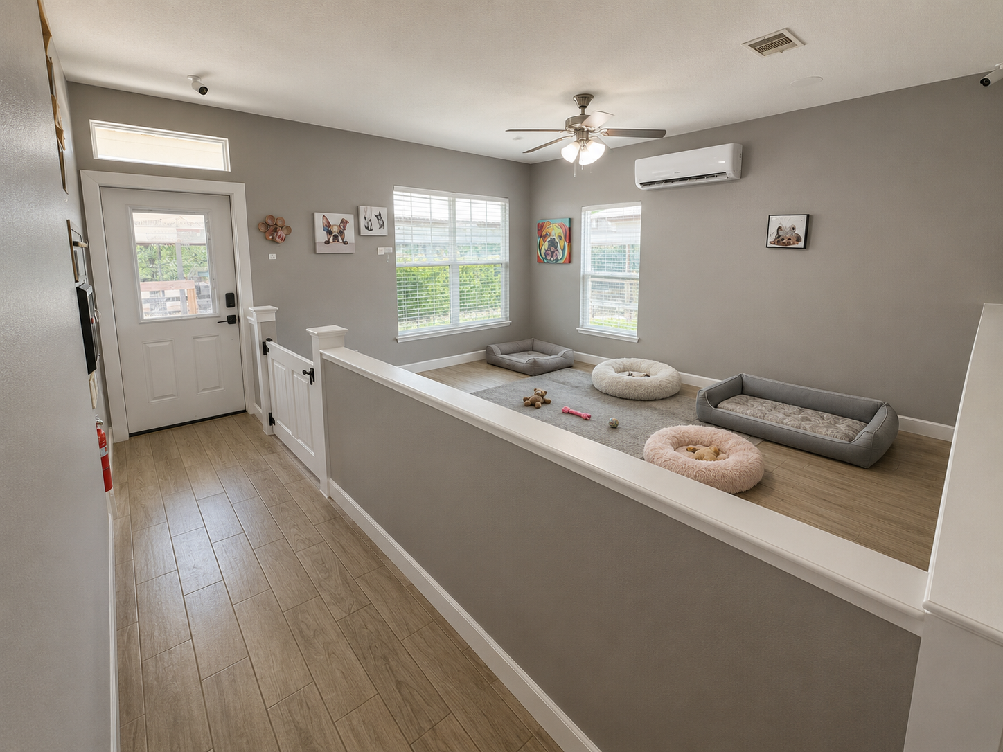 Open-concept small-dog lodging room with beds and natural light